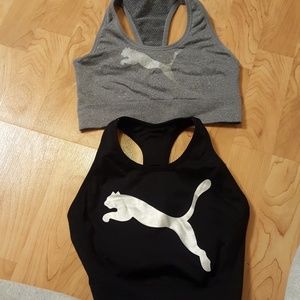 2 puma sports bras